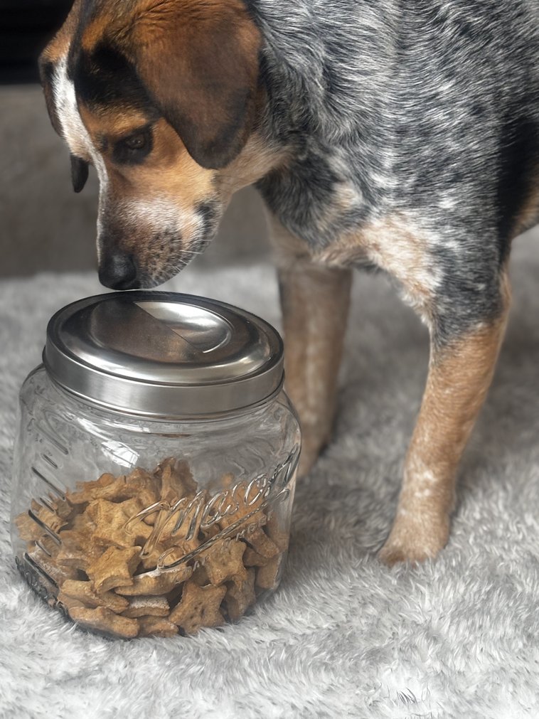 Sourdough Dog Treat Recipe